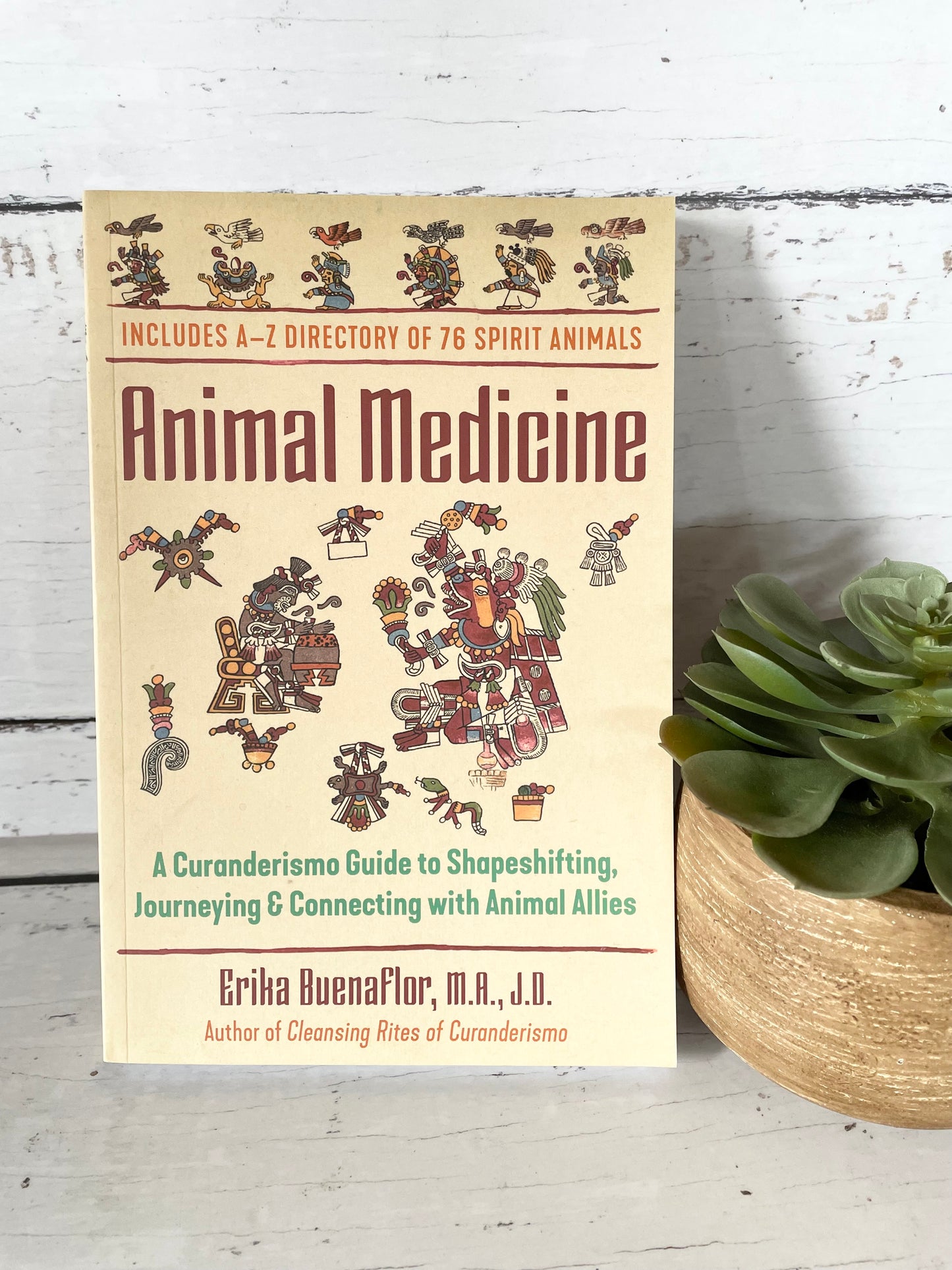 Animal Medicine