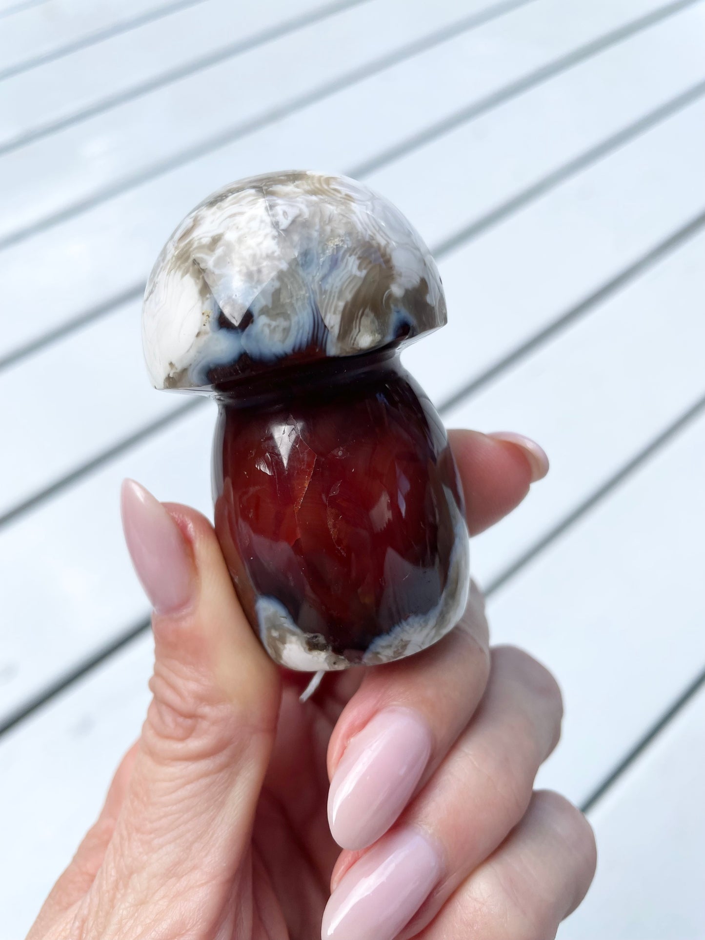 Carnelian Mushroom
