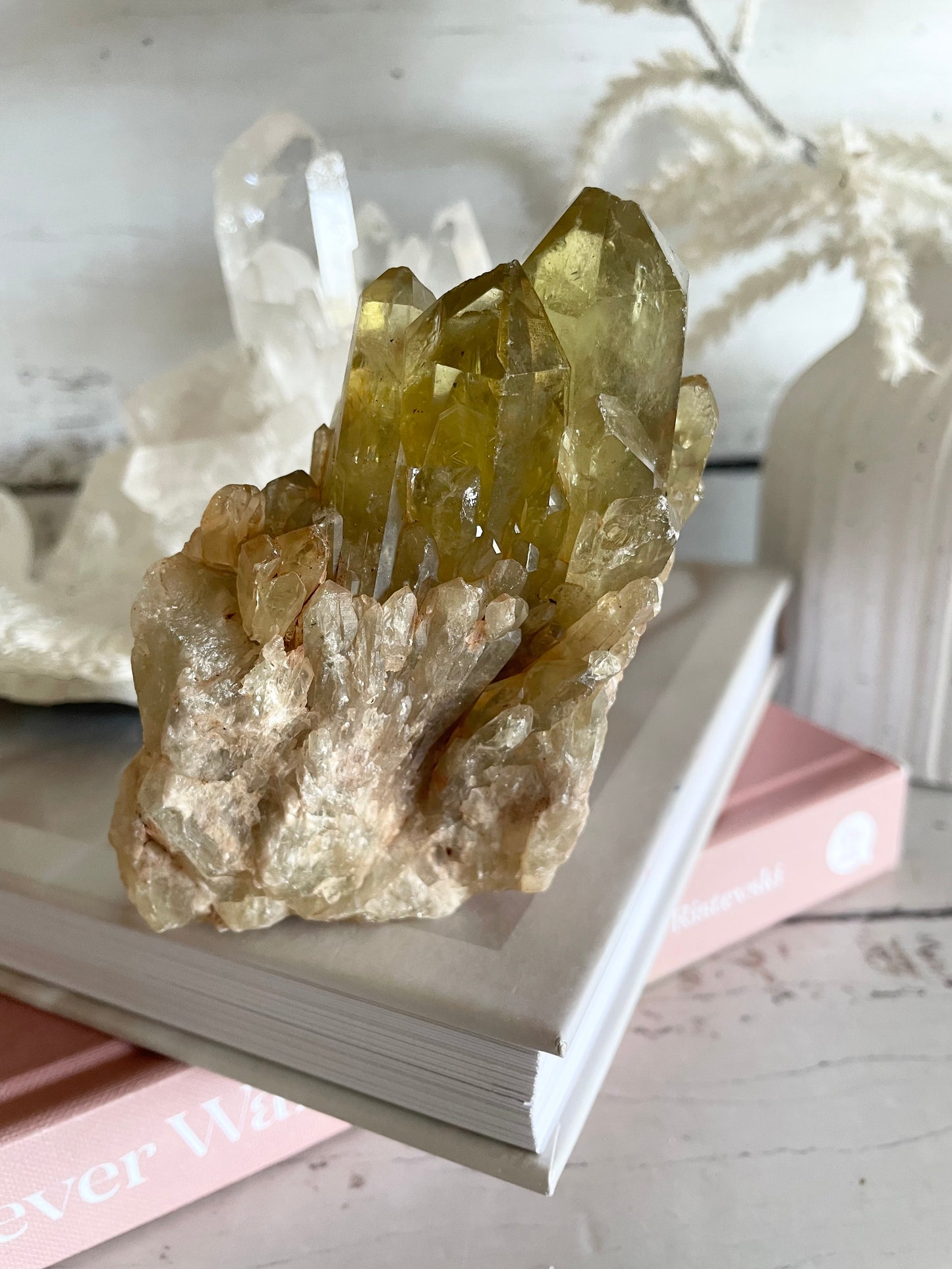 Natural Pineapple Citrine Cluster Point
