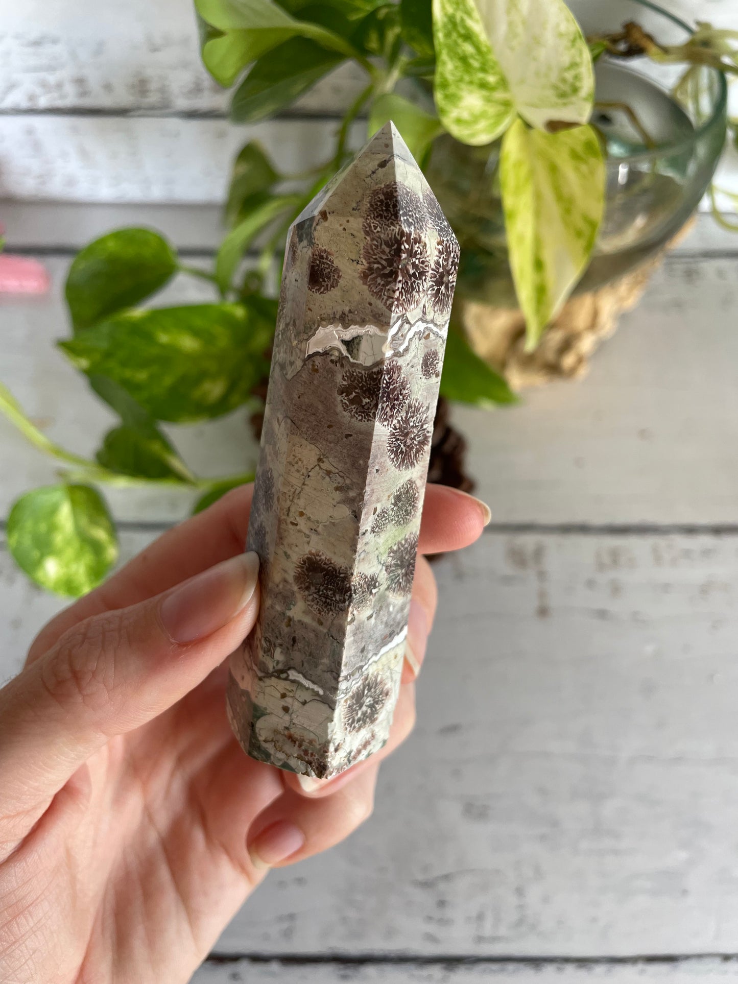 Green Flower Jasper/Rhyolite Generator