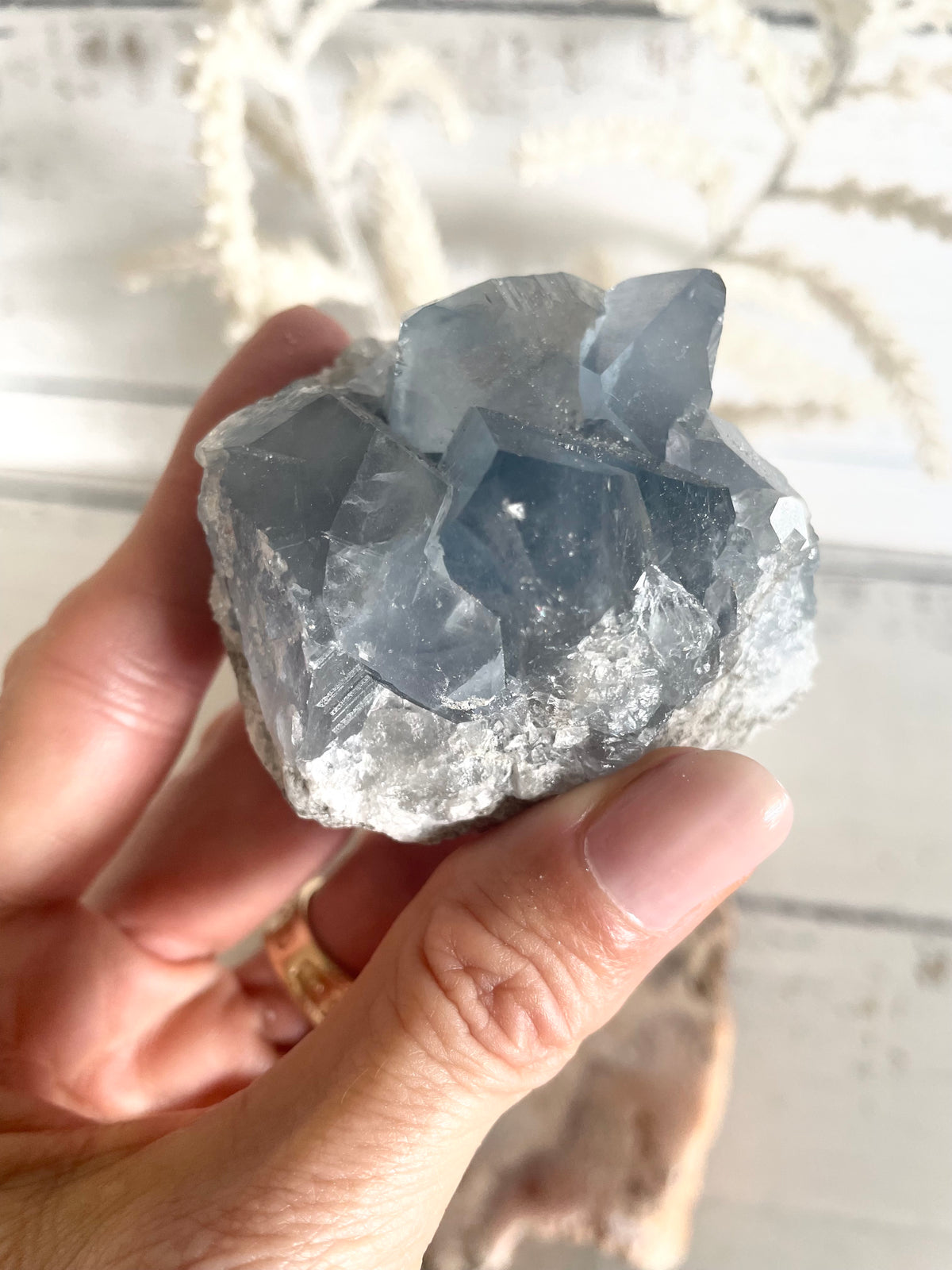 Celestite Cluster