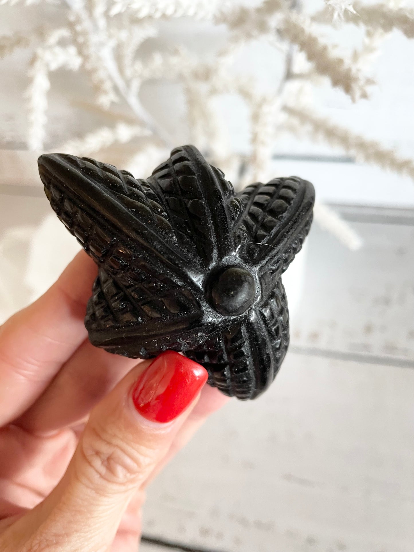 Black Obsidian Sea Star