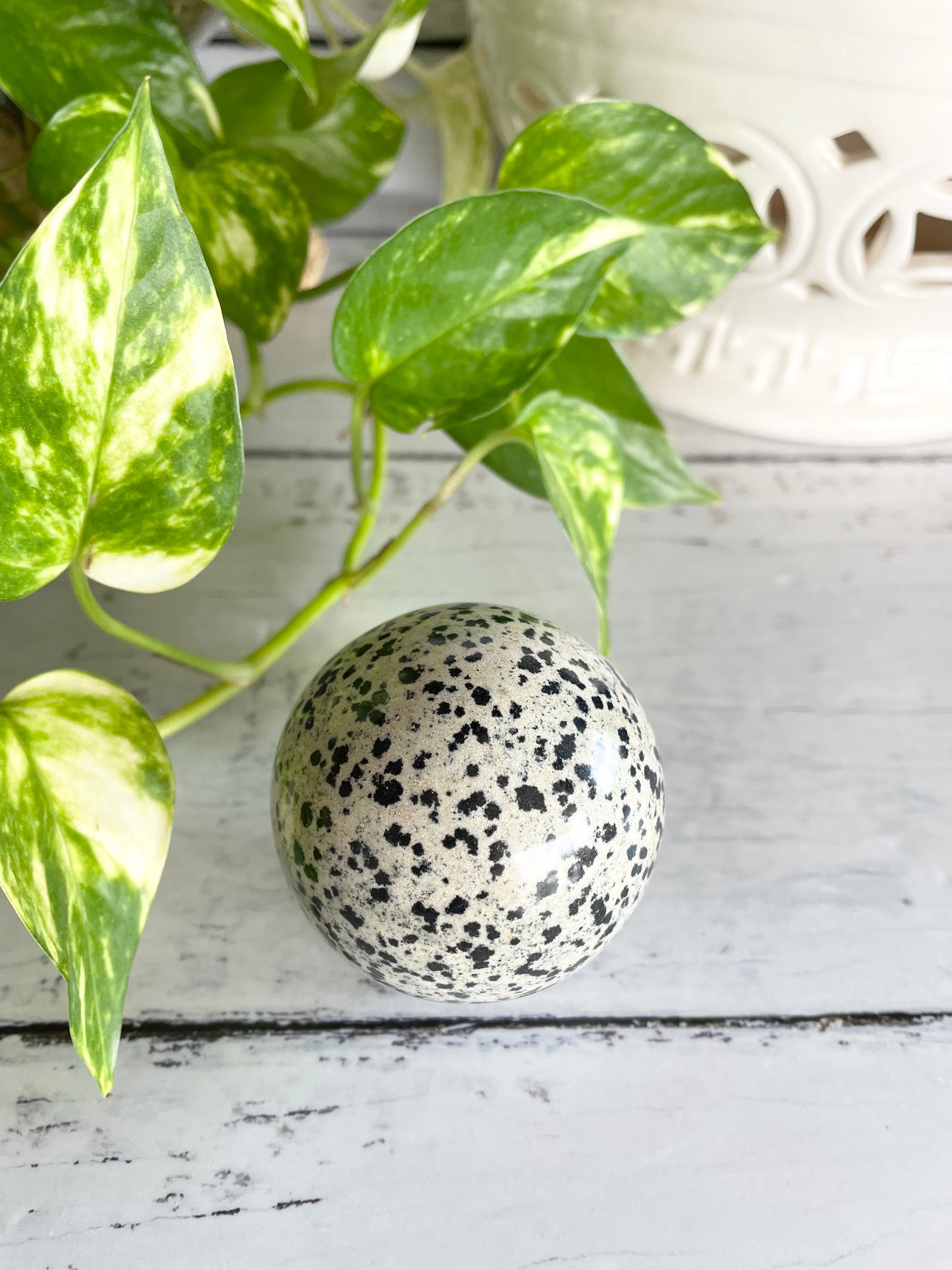 Dalmation Jasper Sphere Includes Wooden Holder