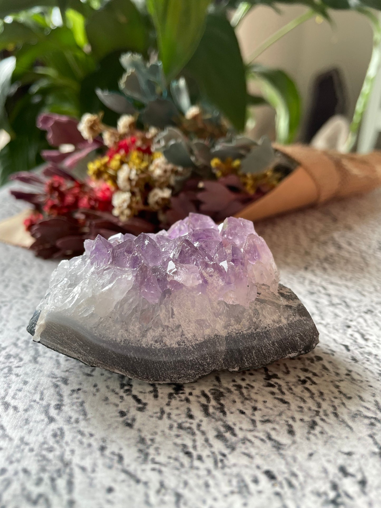 Amethyst Cluster