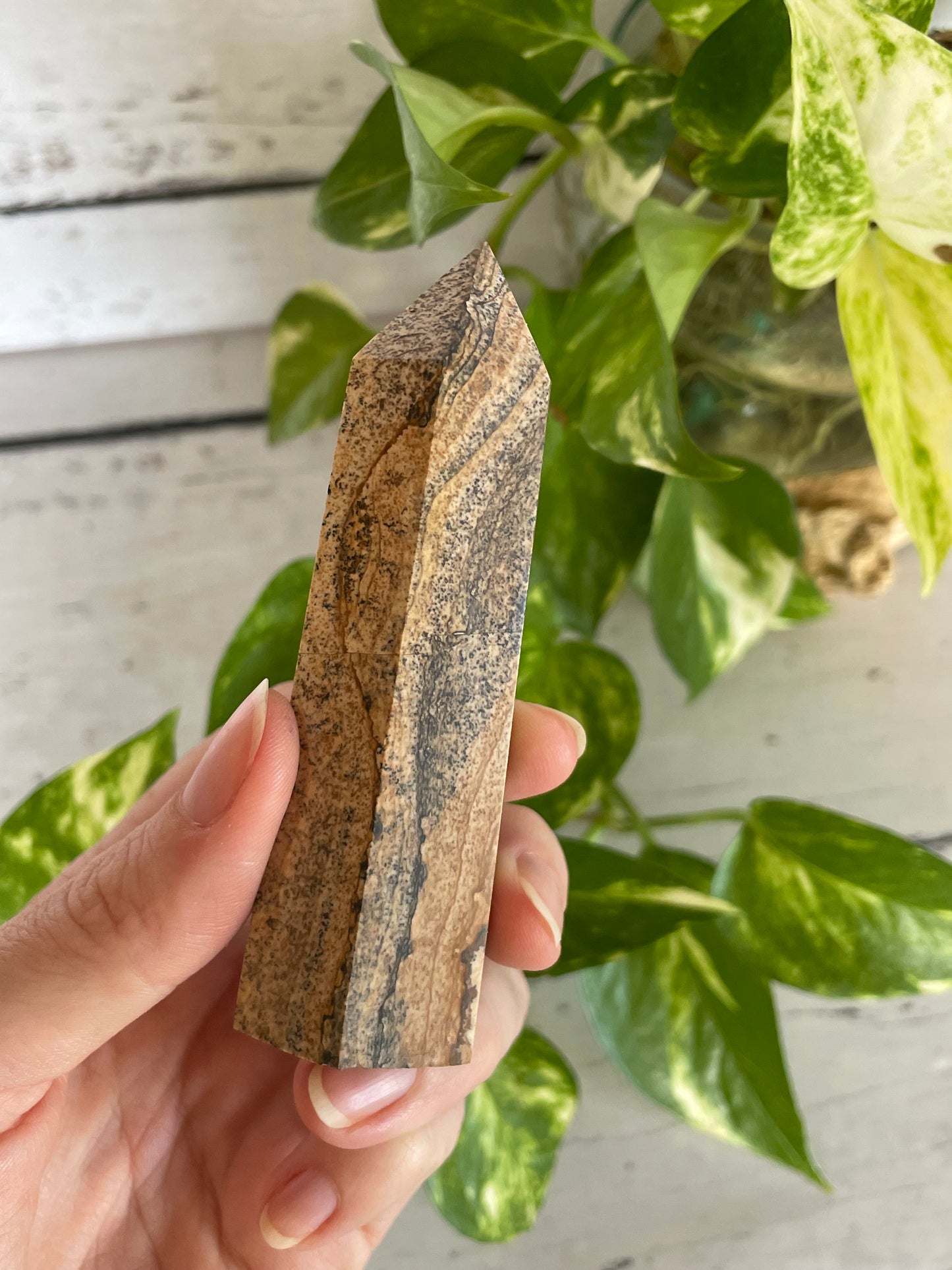 Picture Jasper Generator