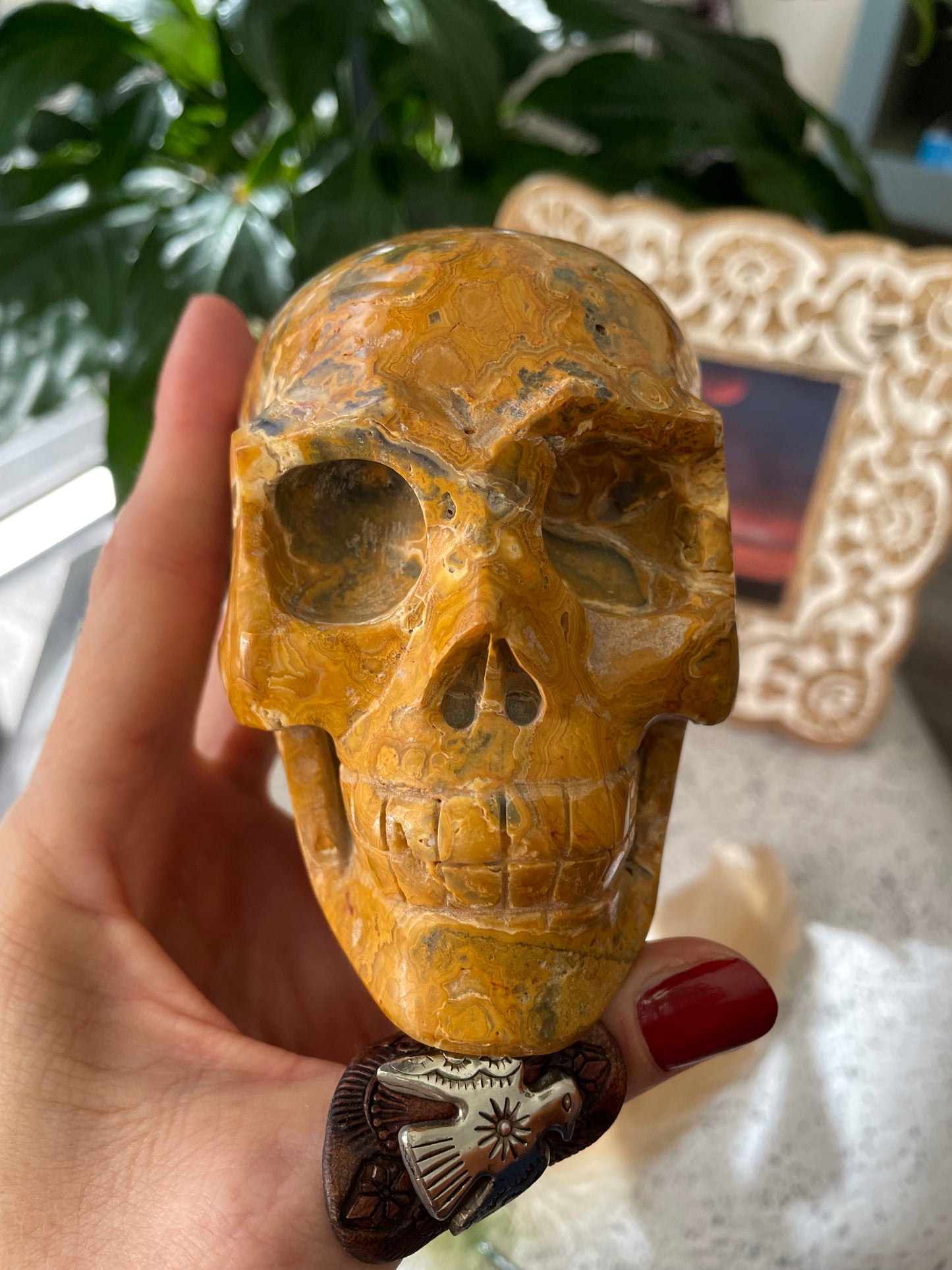 Crazy Lace Agate Skull