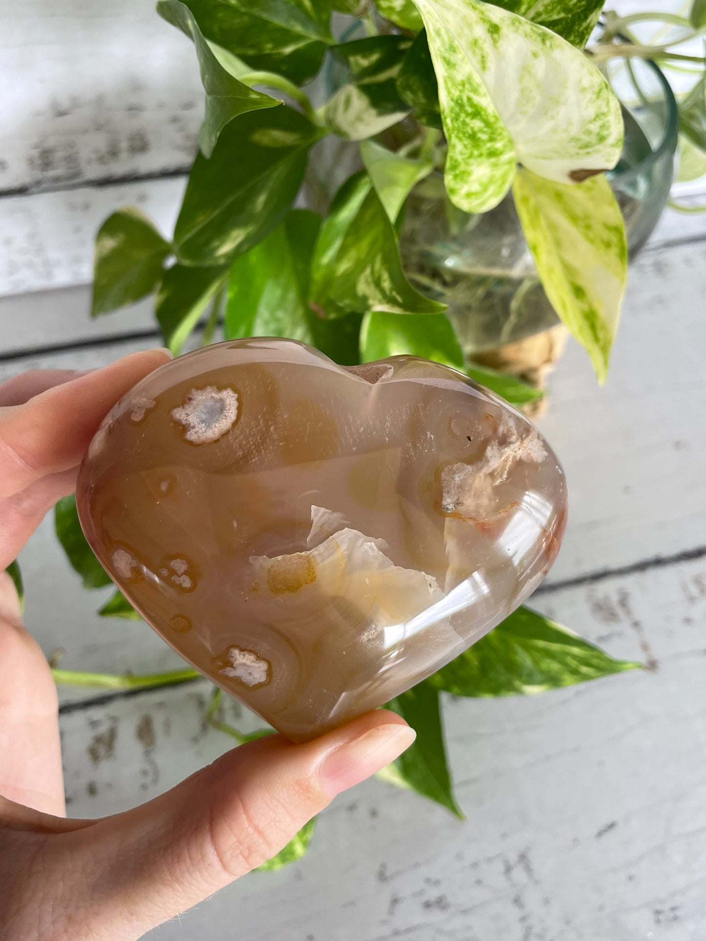 Flower Agate Heart