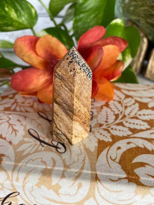 Picture Jasper Generator