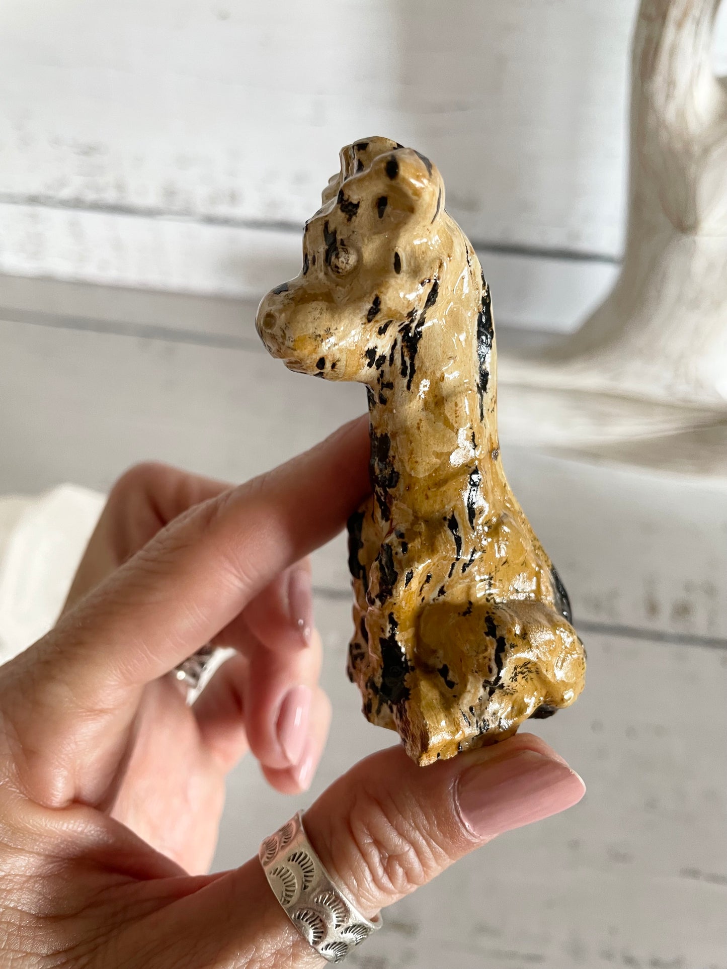 Picture Jasper Giraffe ~ 15