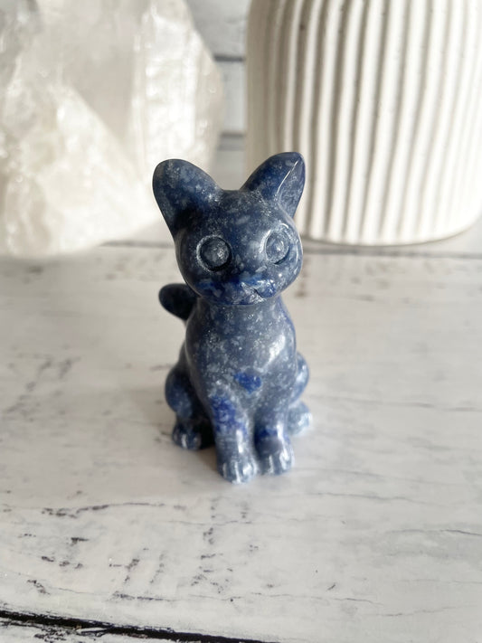 Cat - Blue Quartz
