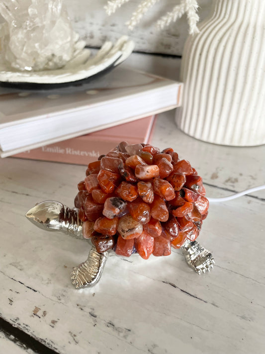 Tortoise Led Lamp ~ Carnelian