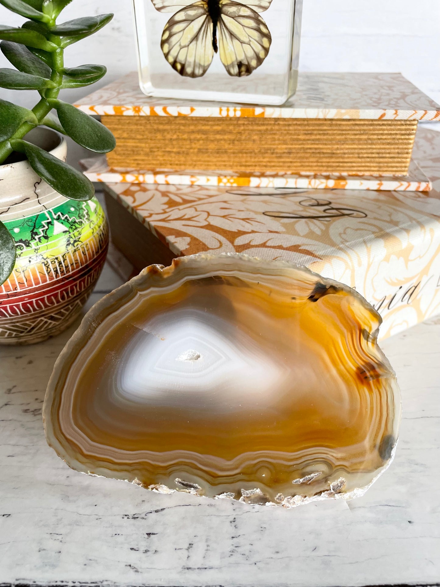 Agate Slice ~ Tan