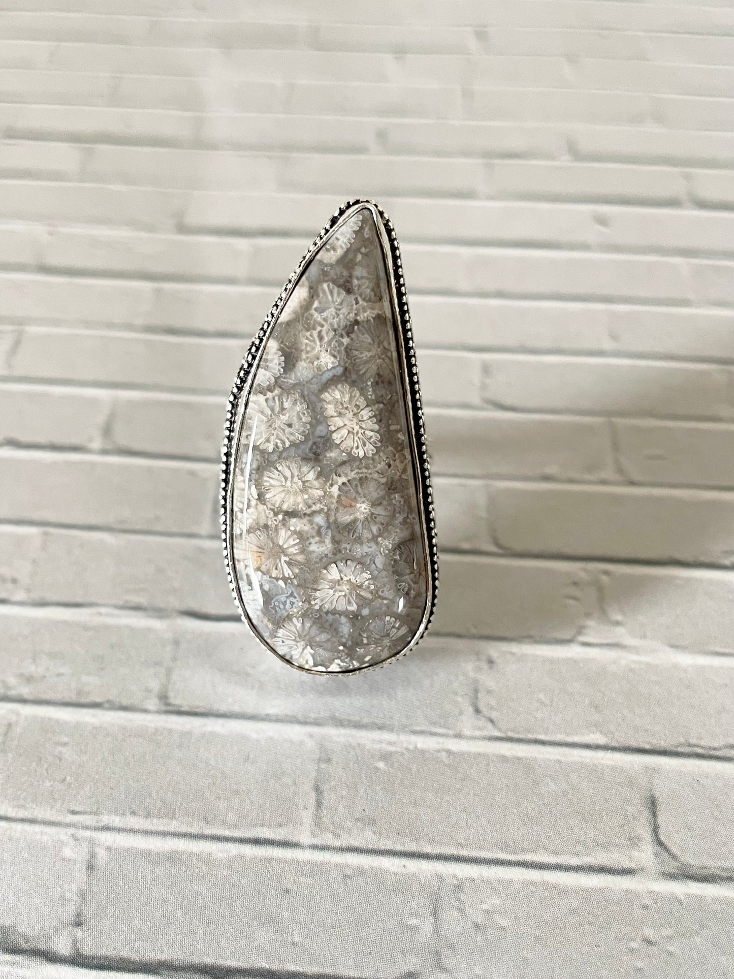Petoskey / Fossil Ring  ~ size 7.5