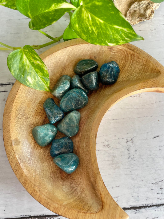 Apatite Tumble Stones