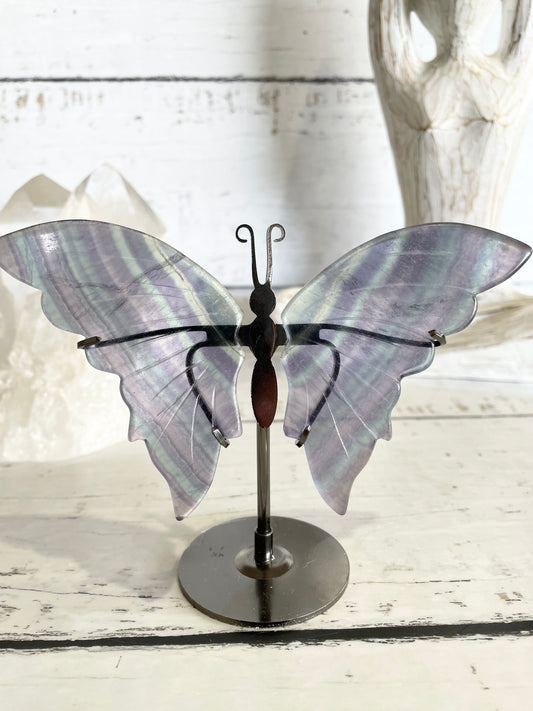 Butterfly ~ Rainbow Fluorite