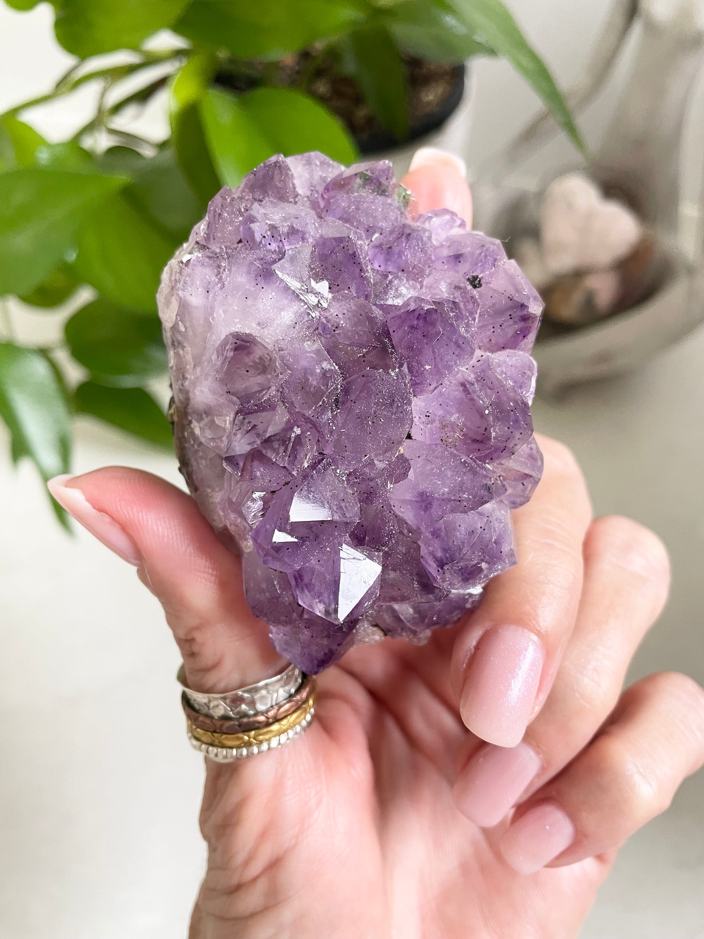 Amethyst Cluster