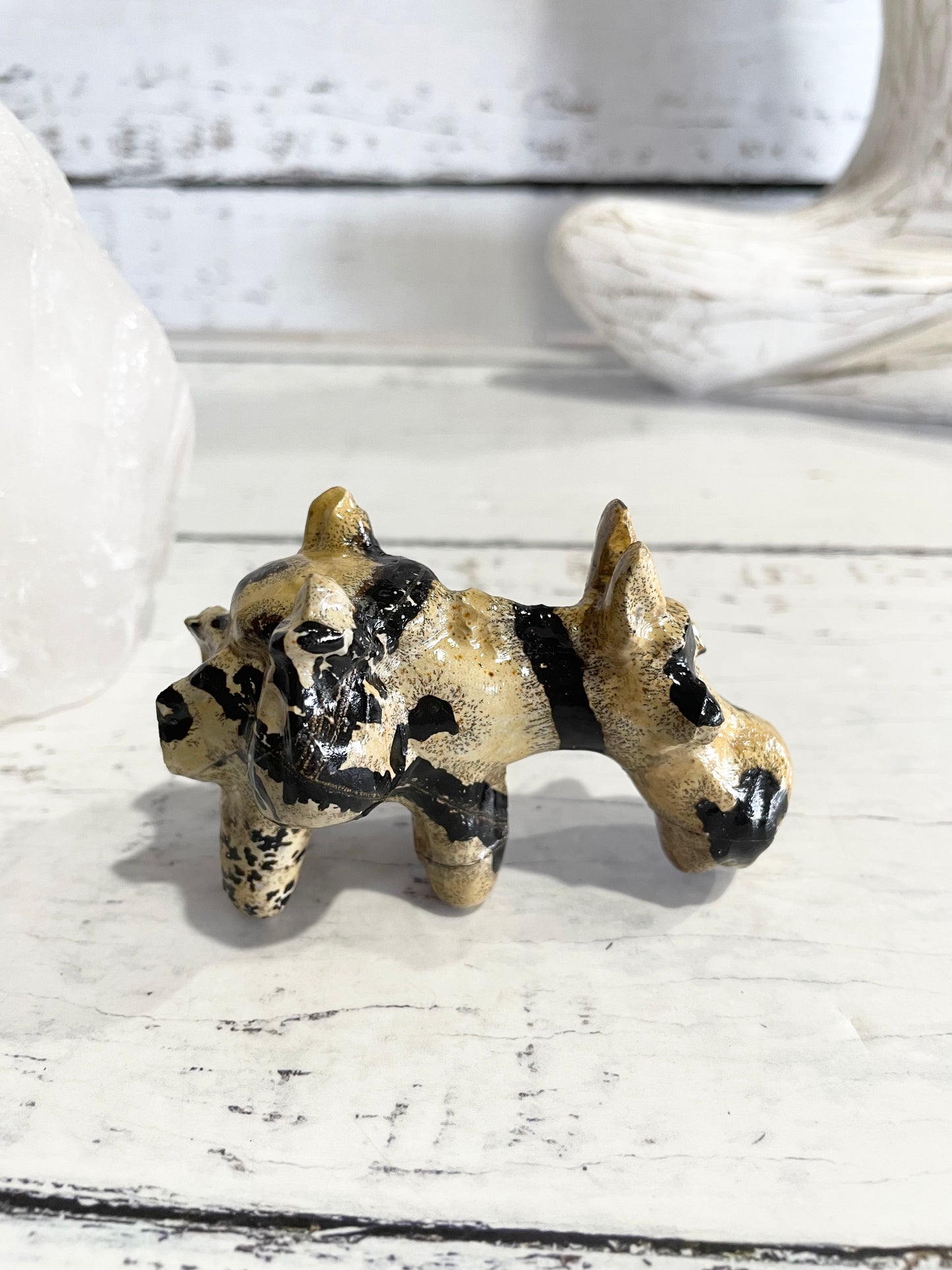 Picture Jasper Donkey ~ 7
