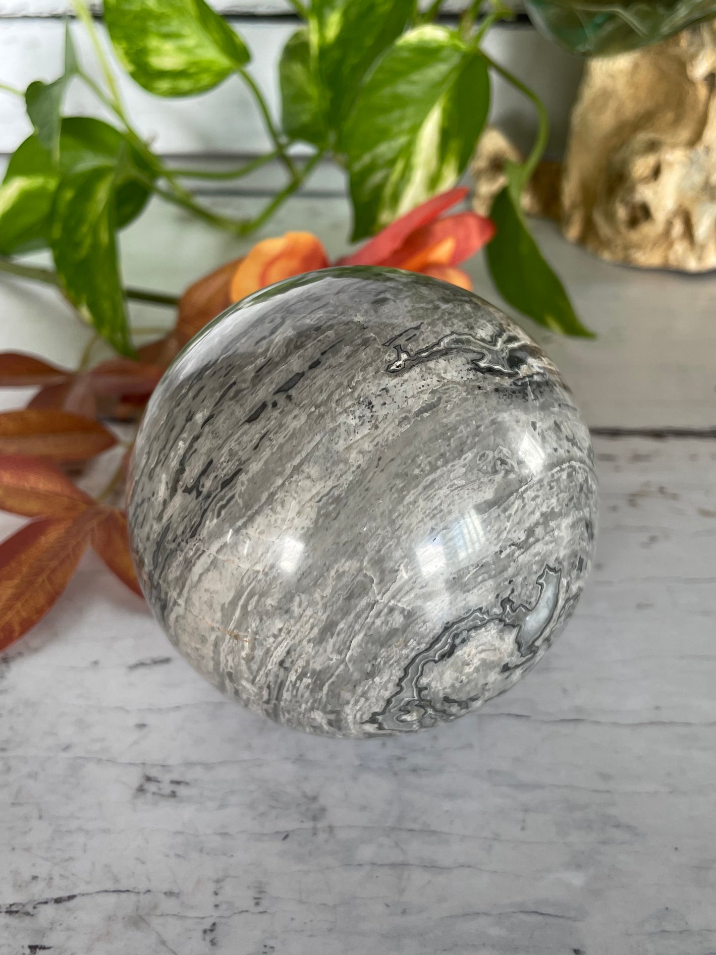 Picasso Jasper Sphere Includes Wooden Holder