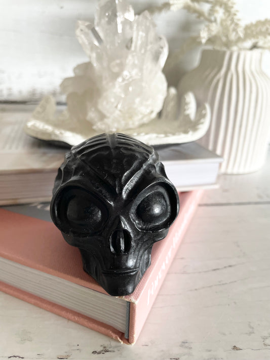 Black Obsidian Alien Skull