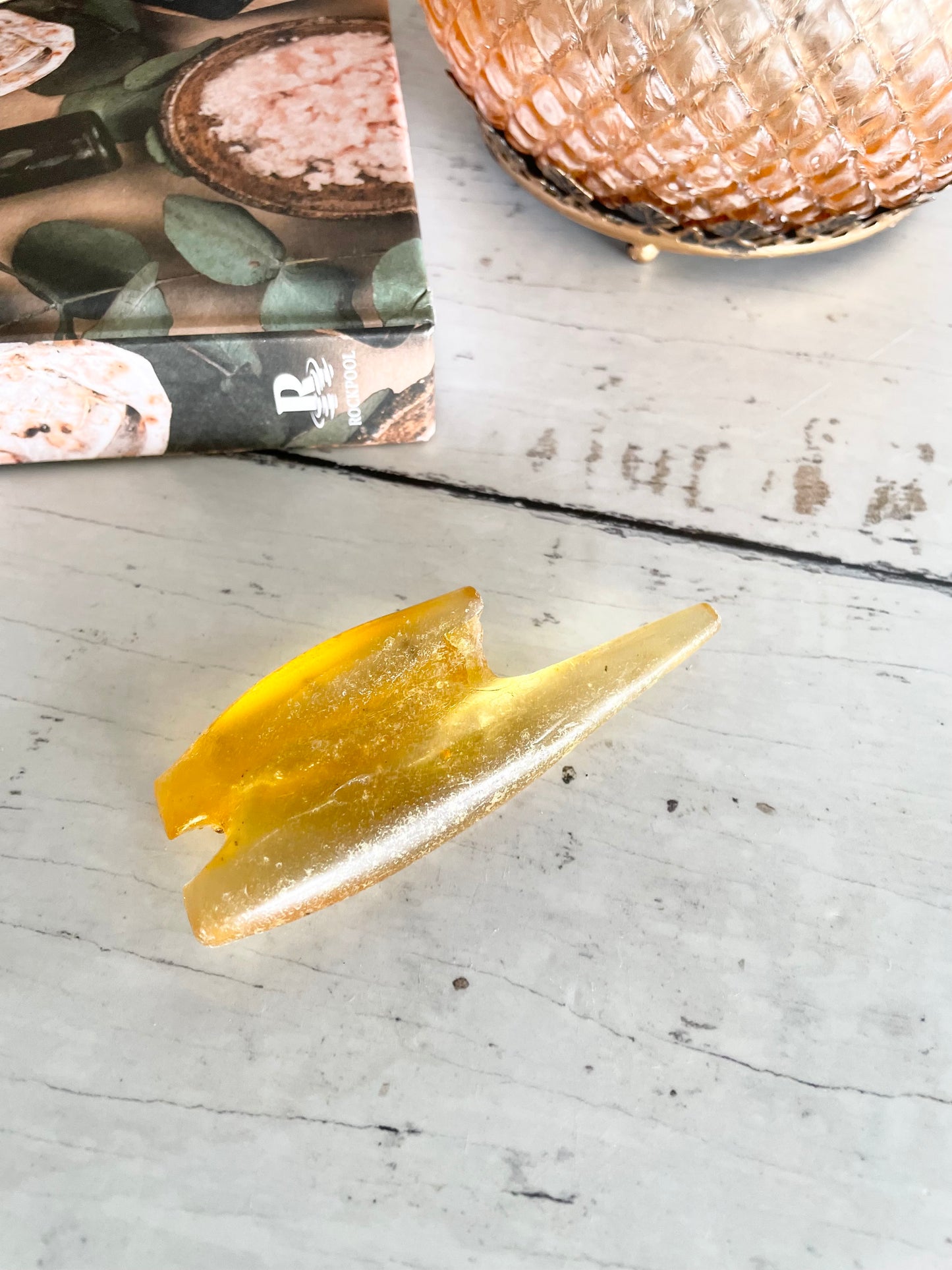 Copal Fossil ~ (young amber)  Colombia