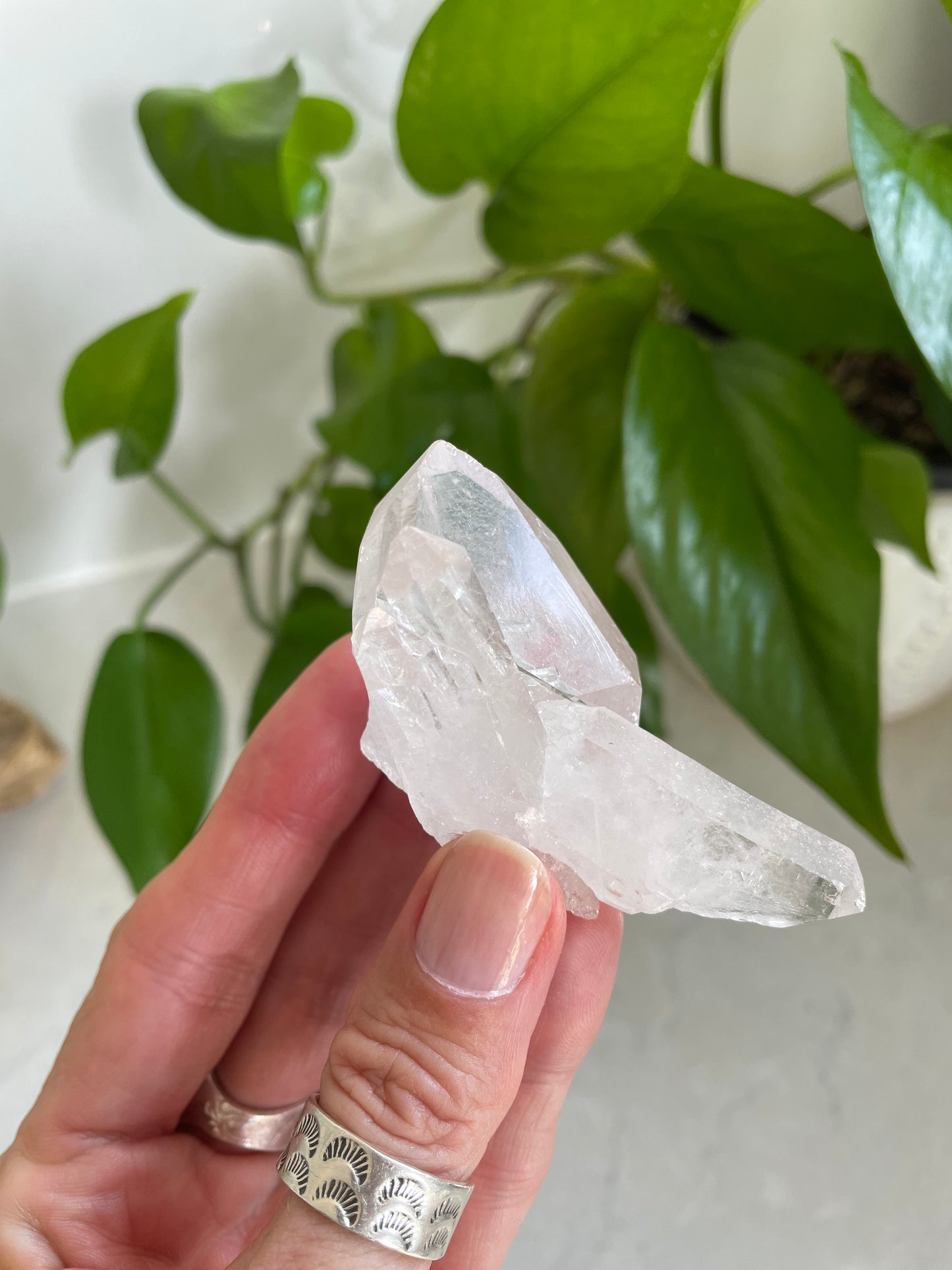 Clear Quartz Cluster