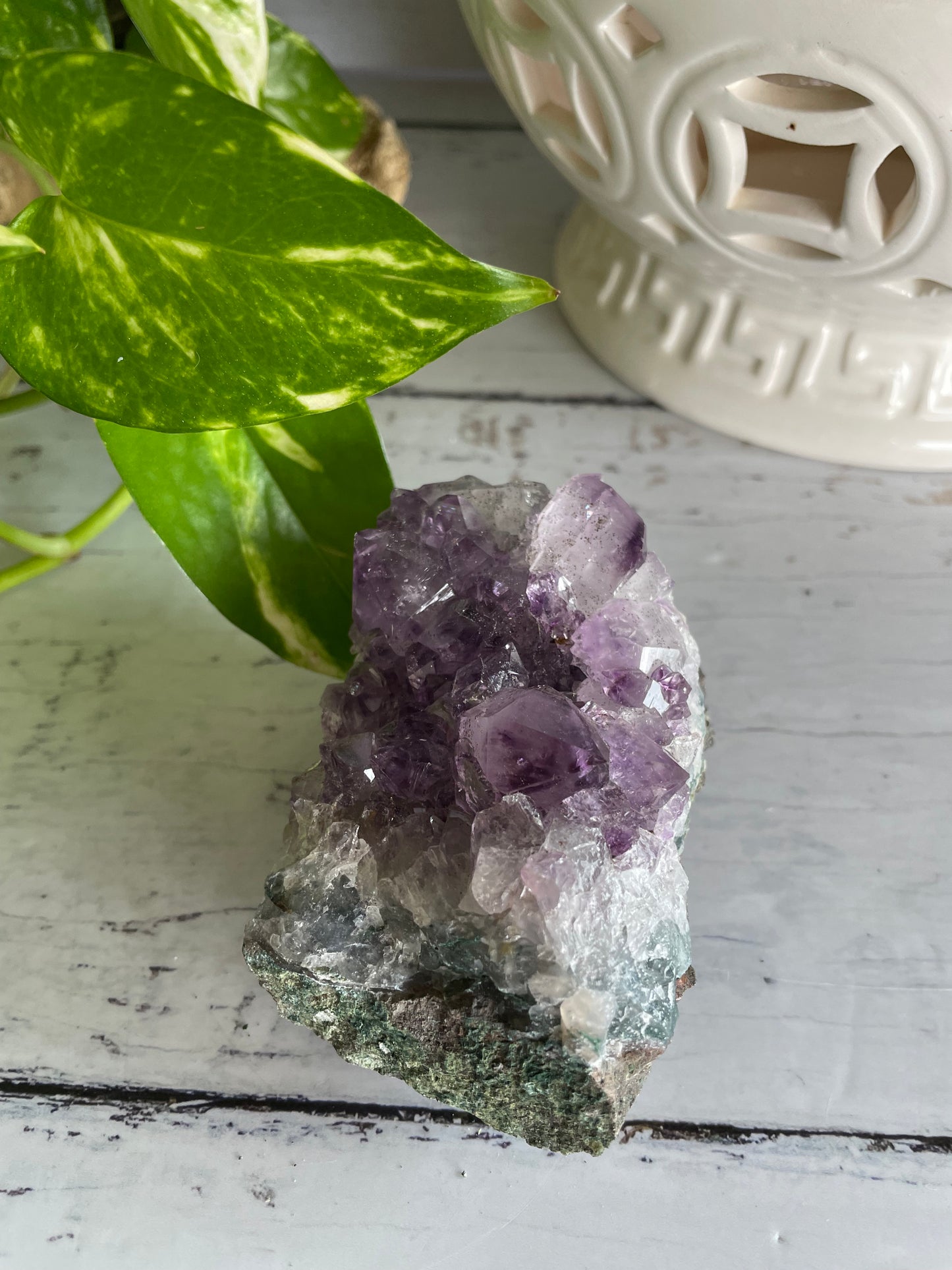 Amethyst Cluster