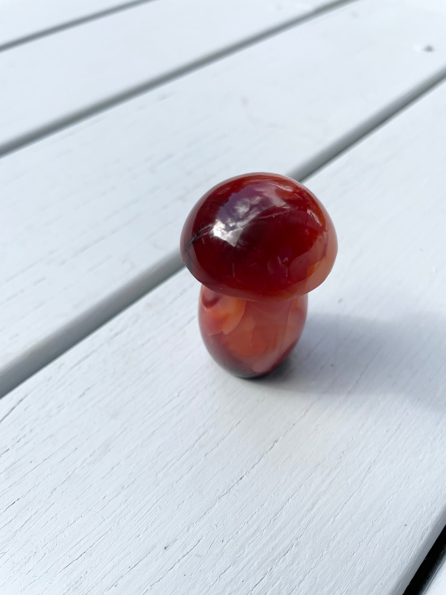 Carnelian Mushroom