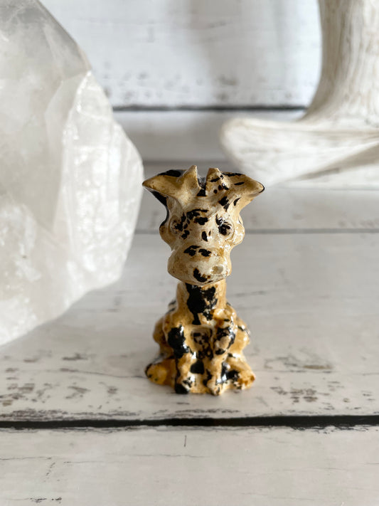Picture Jasper Giraffe ~ 15