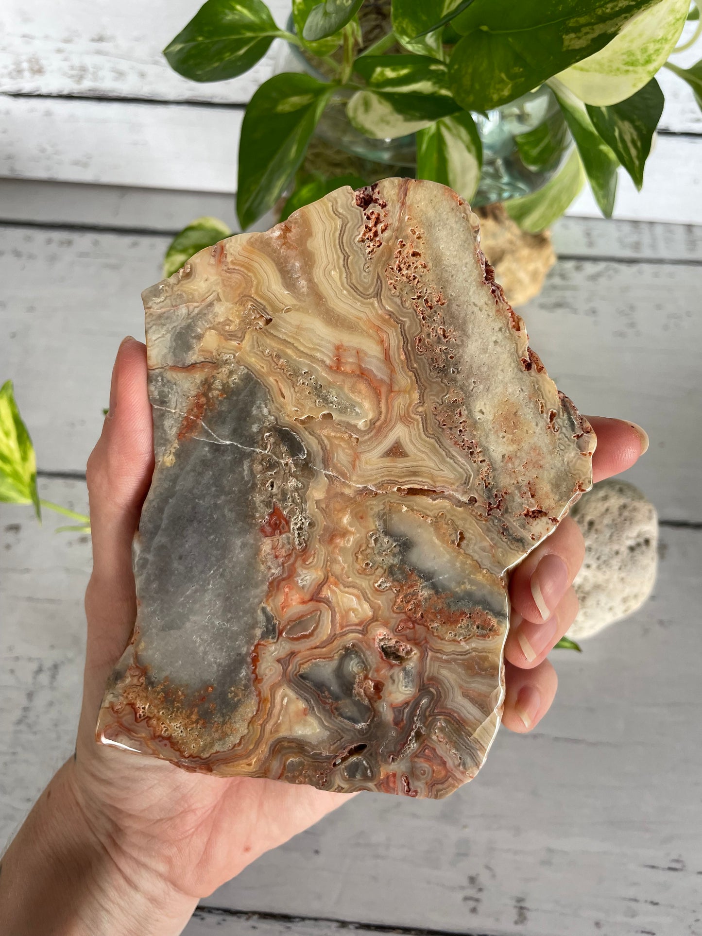 Crazy Lace Agate Polished Slab