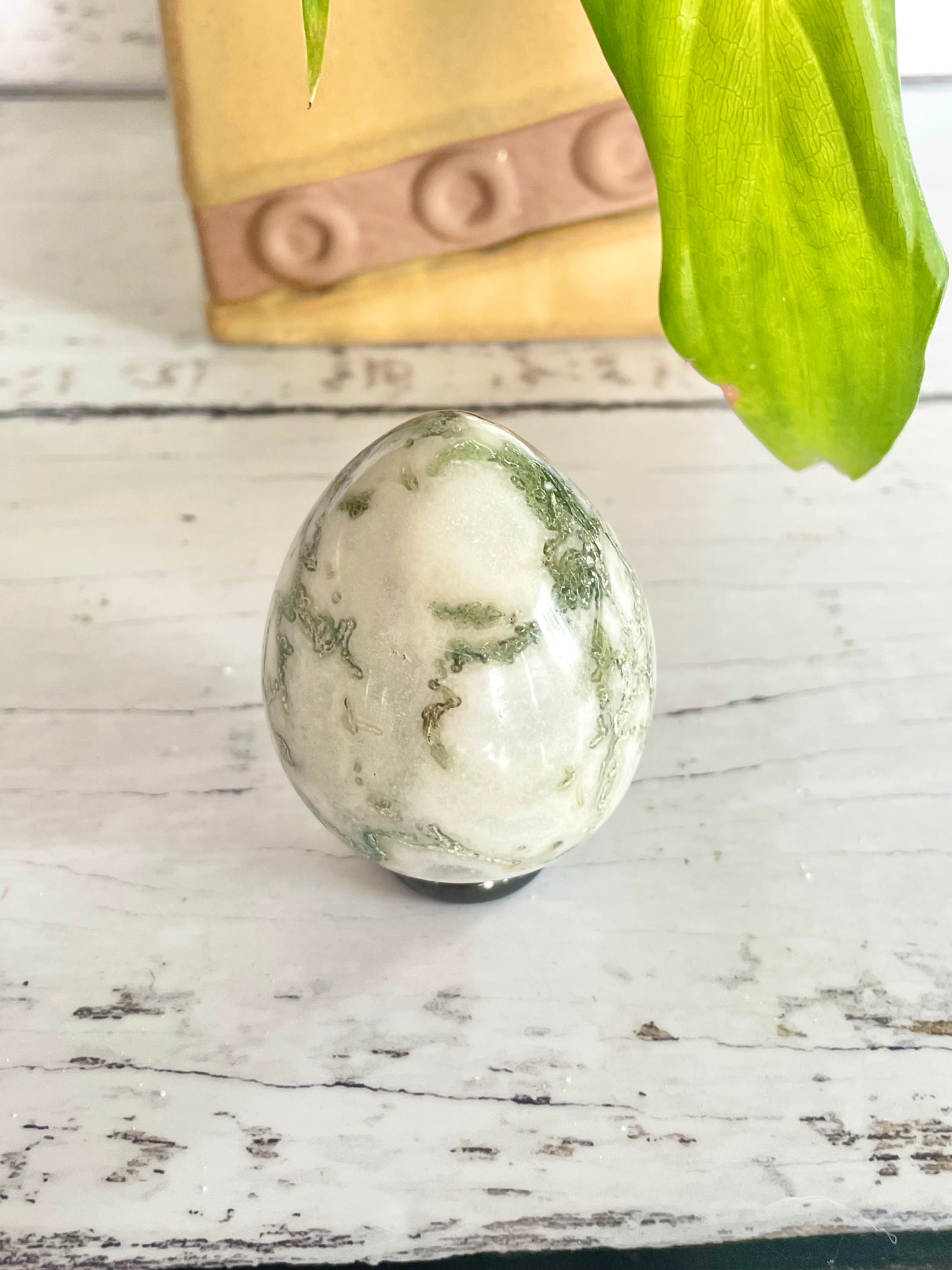 Tree Agate Egg with holder