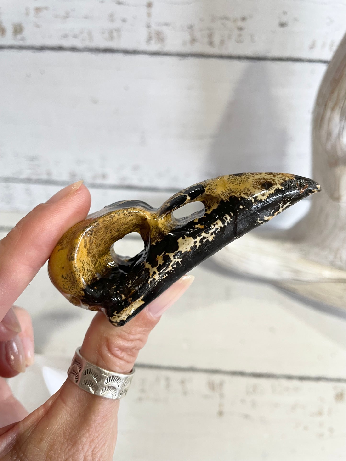 Picture Jasper Raven Skull ~ 7