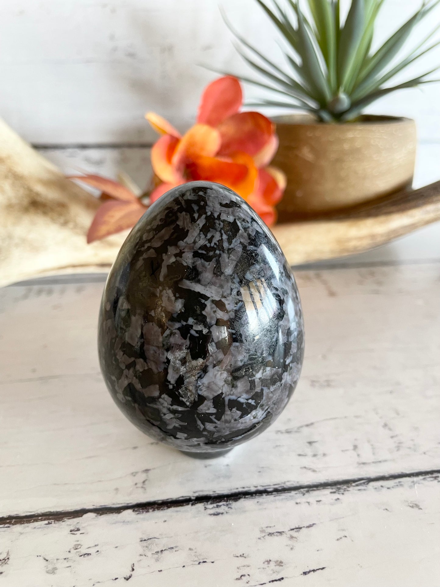 Indigo Gabbro Egg Includes Hematite Ring