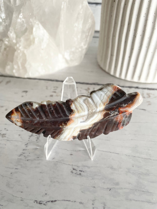 Mexican Crazy Lace Agate feather