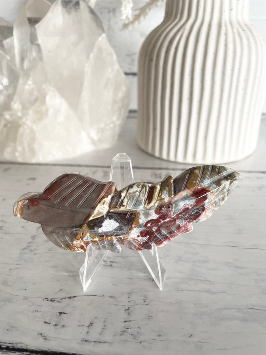 Mexican Crazy Lace Agate feather
