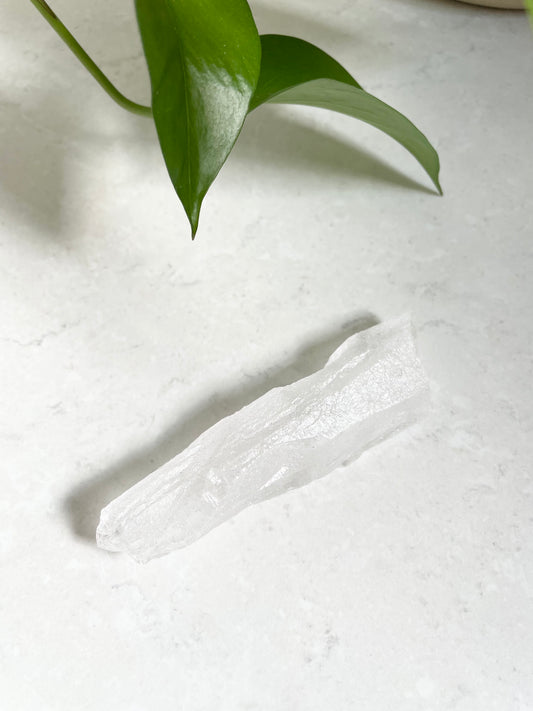 Root Lemurian Natural Point