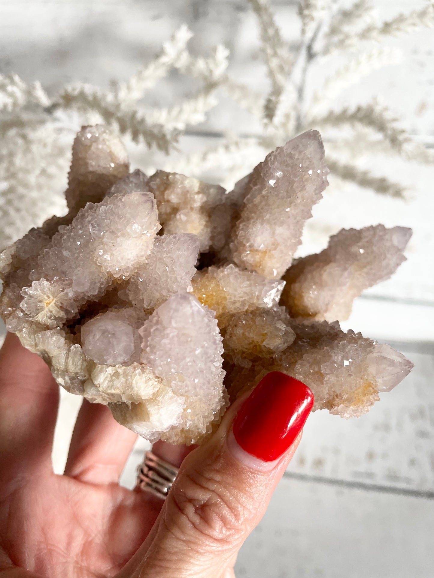 Spirit / Cactus Quartz Cluster