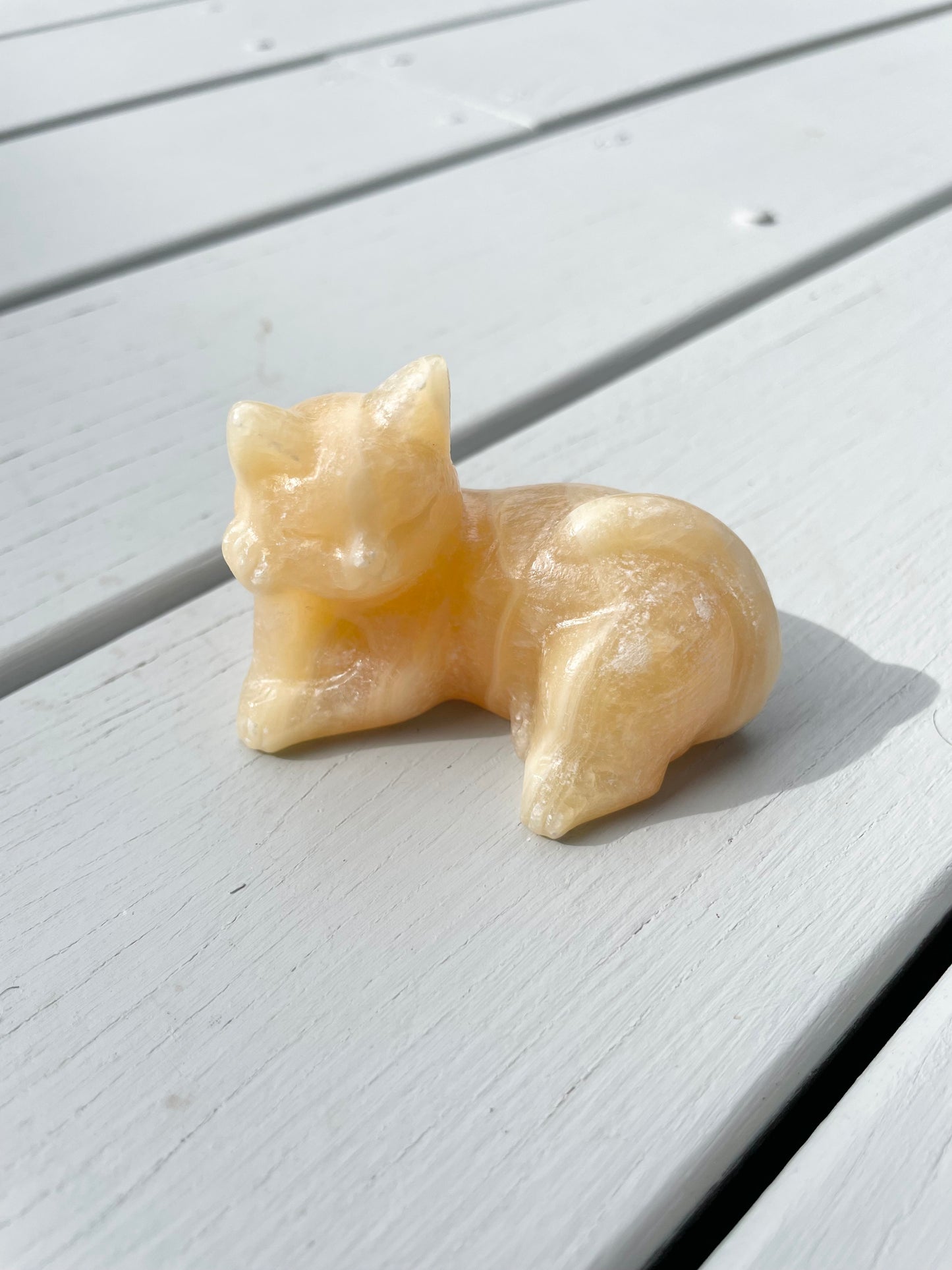 Orange Calcite Cat