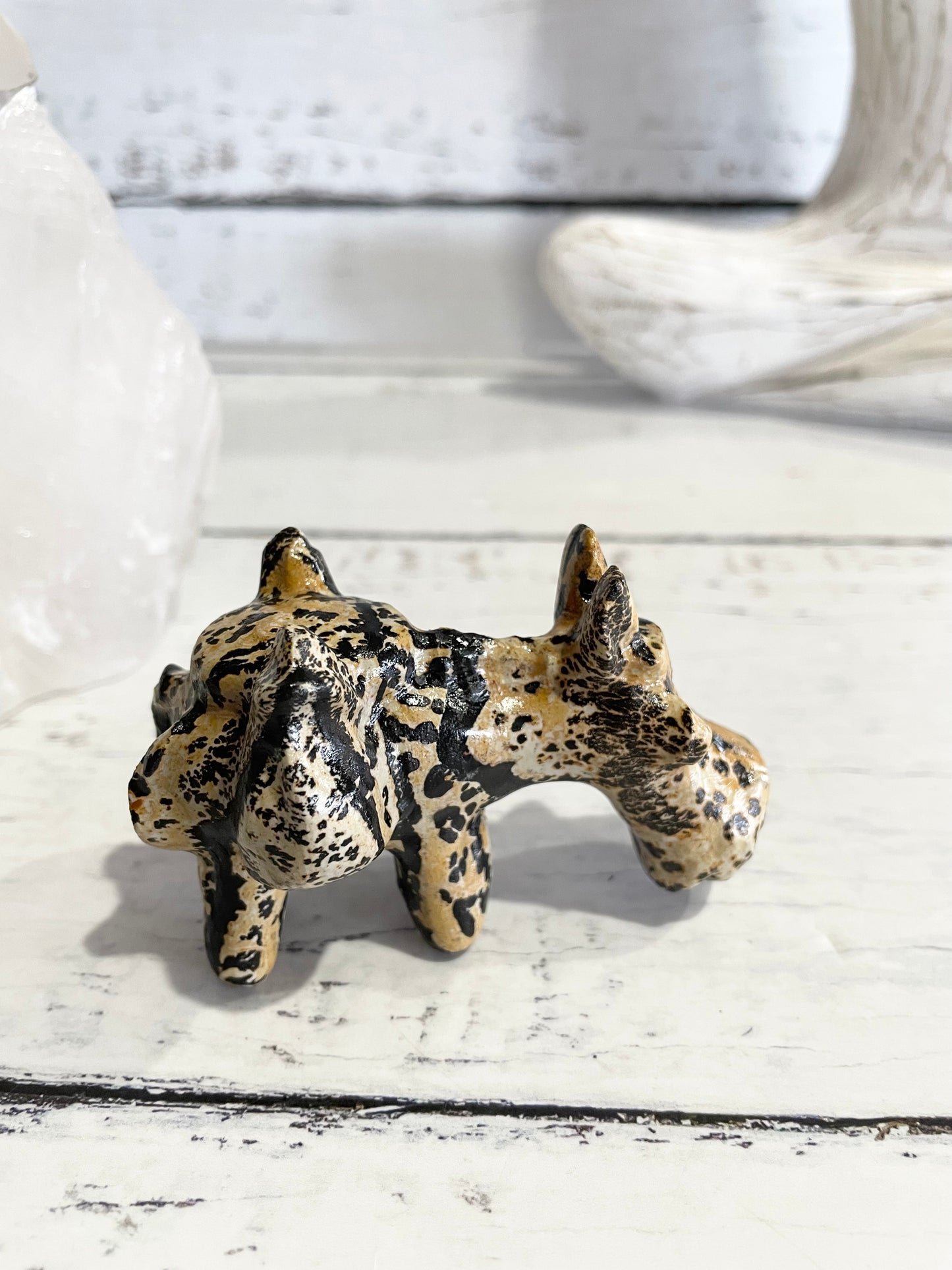 Picture Jasper Donkey ~ 9