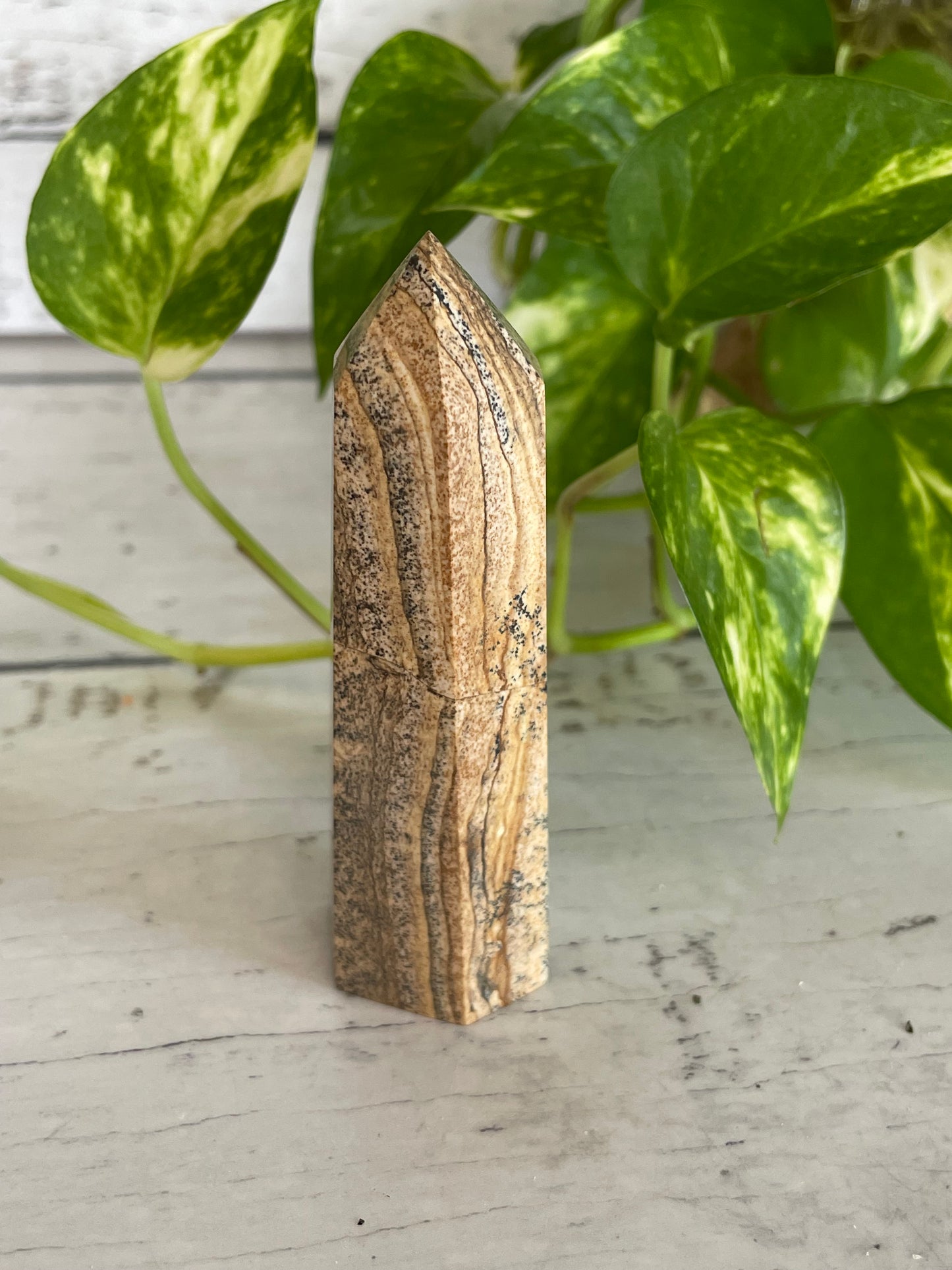 Picture Jasper Generator