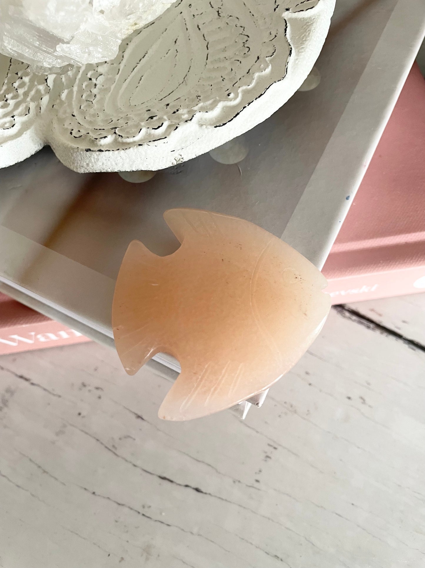 Angel Fish ~ Peach Aventurine