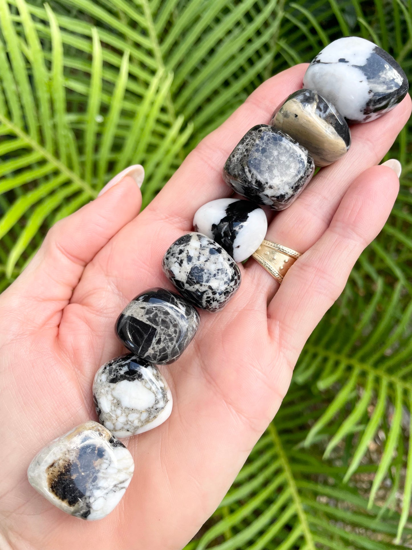 Zebra Jasper Tumble Stones
