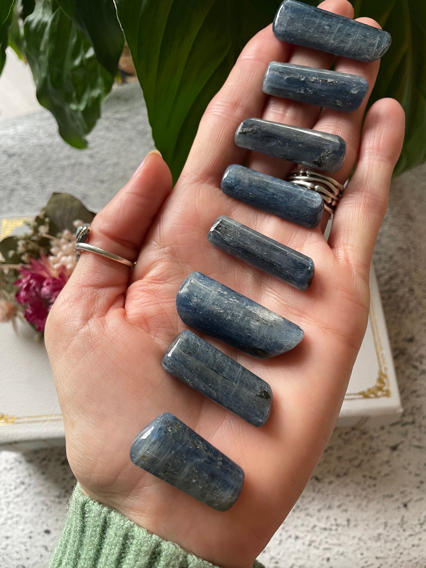 Intuitively Chosen ~ Polished Kyanite Short