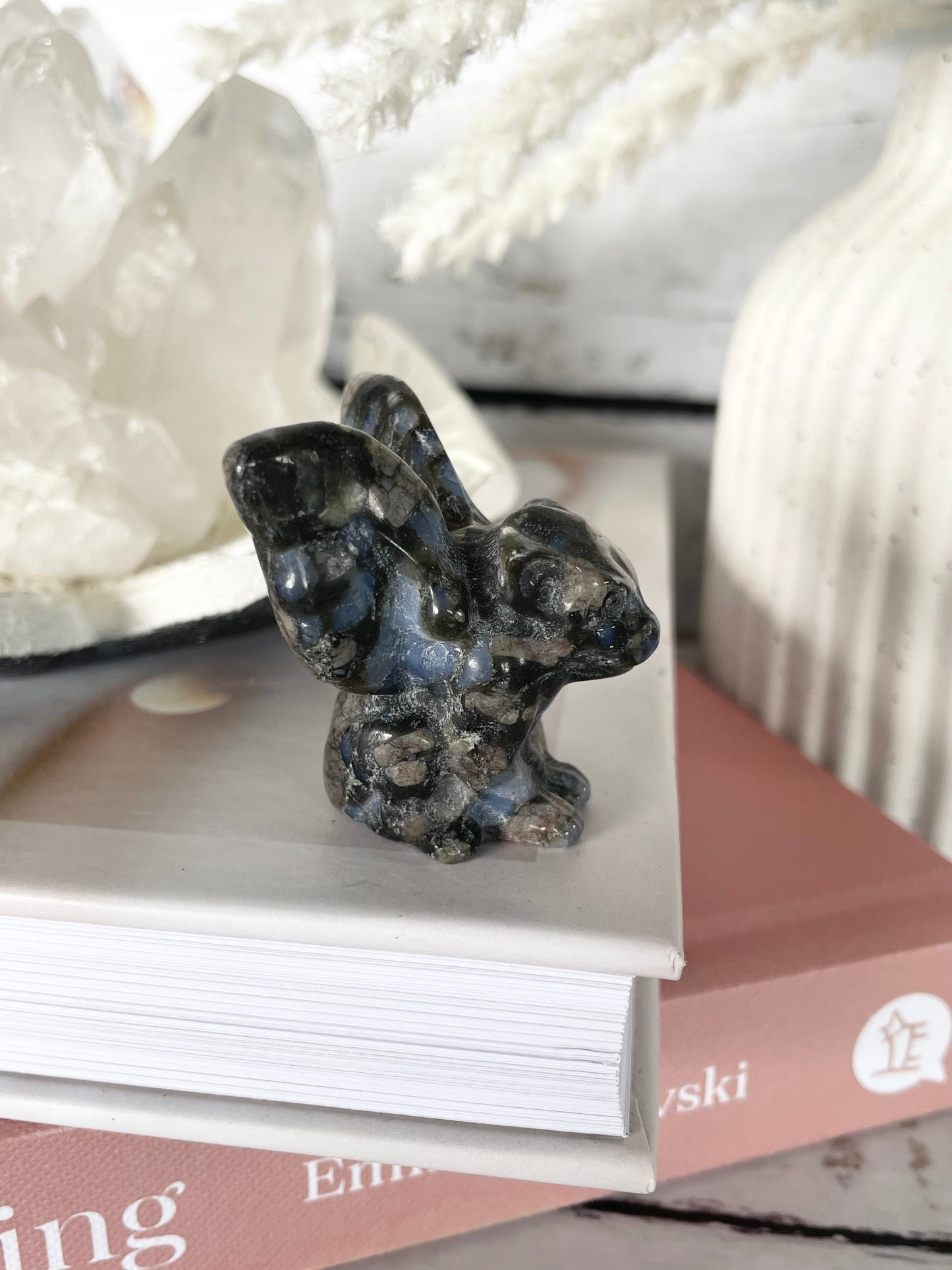 Gargoyle ~ Que Sera / Llanite