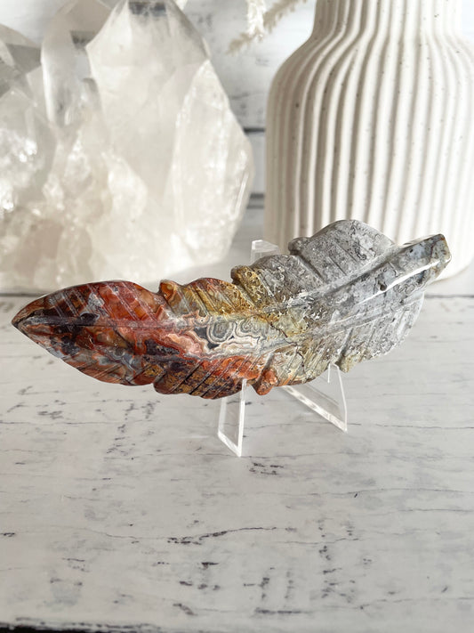 Mexican Crazy Lace Agate feather
