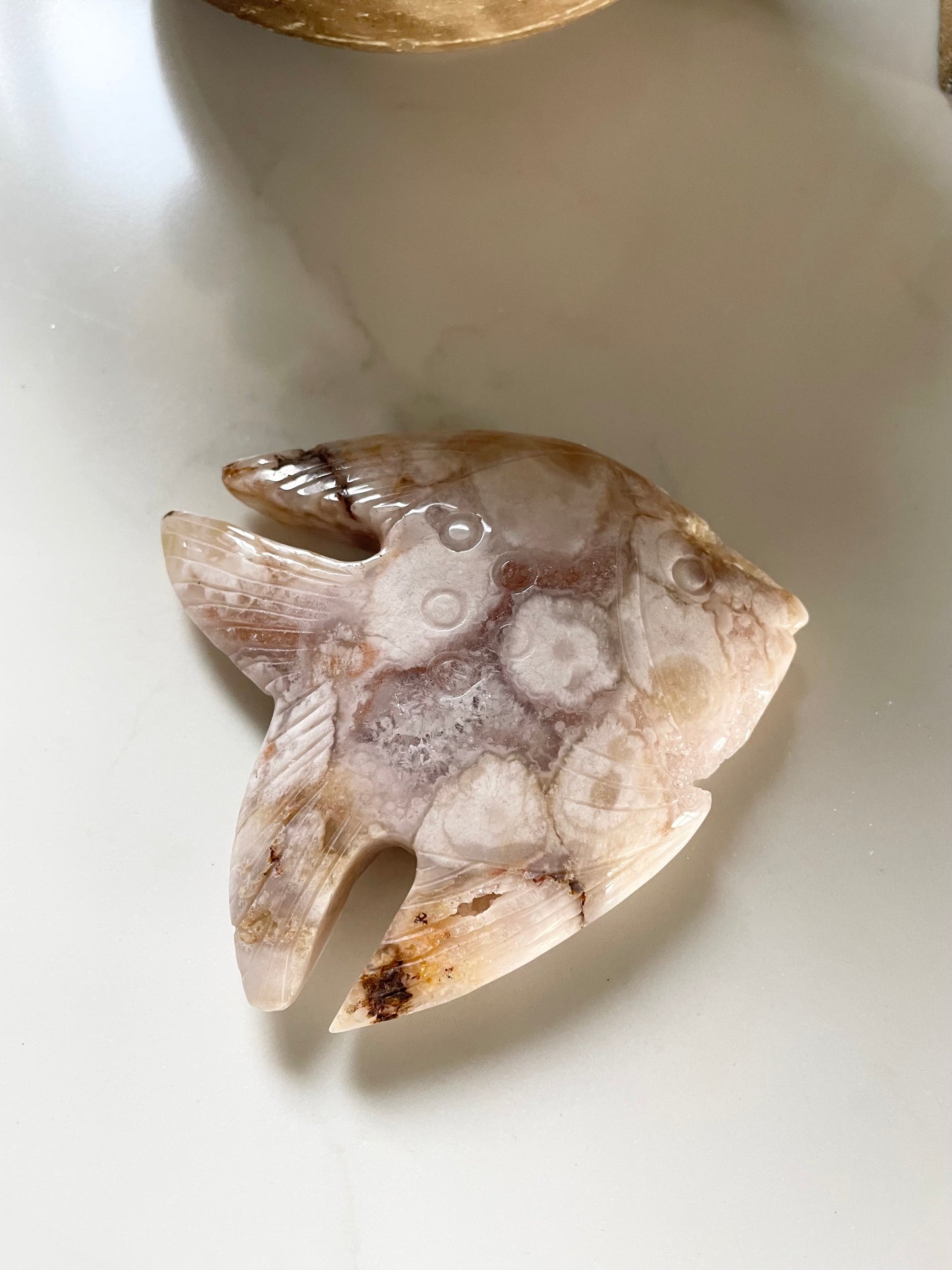 Flower Agate Angel Fish