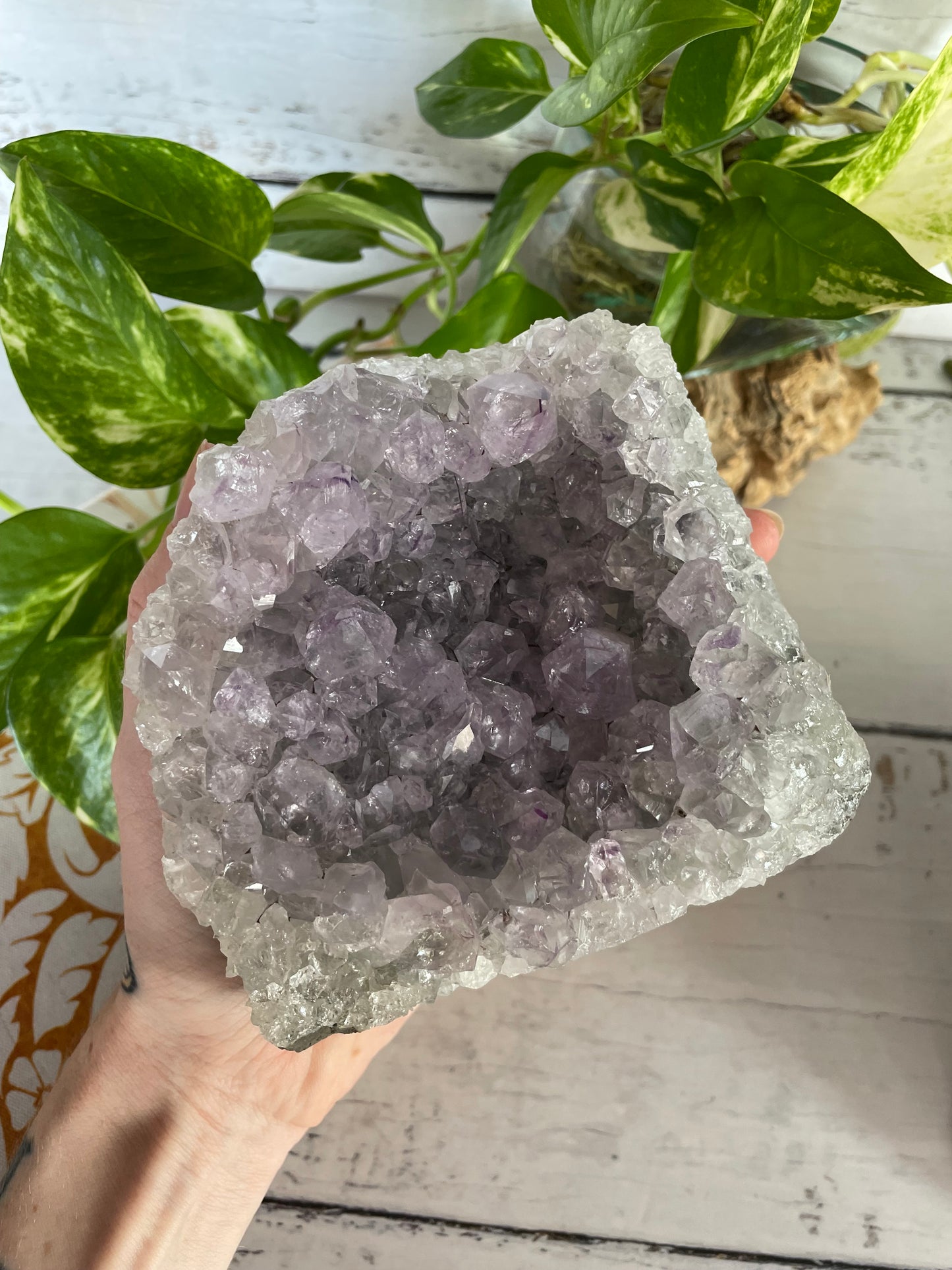 Amethyst Standing Cluster ~ 1.2kgs