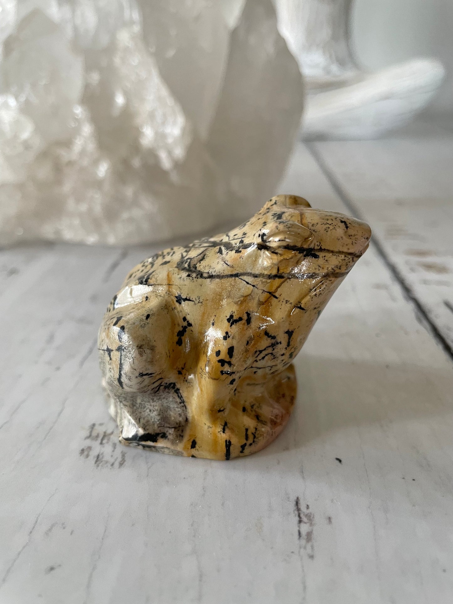 Picture Jasper Frog