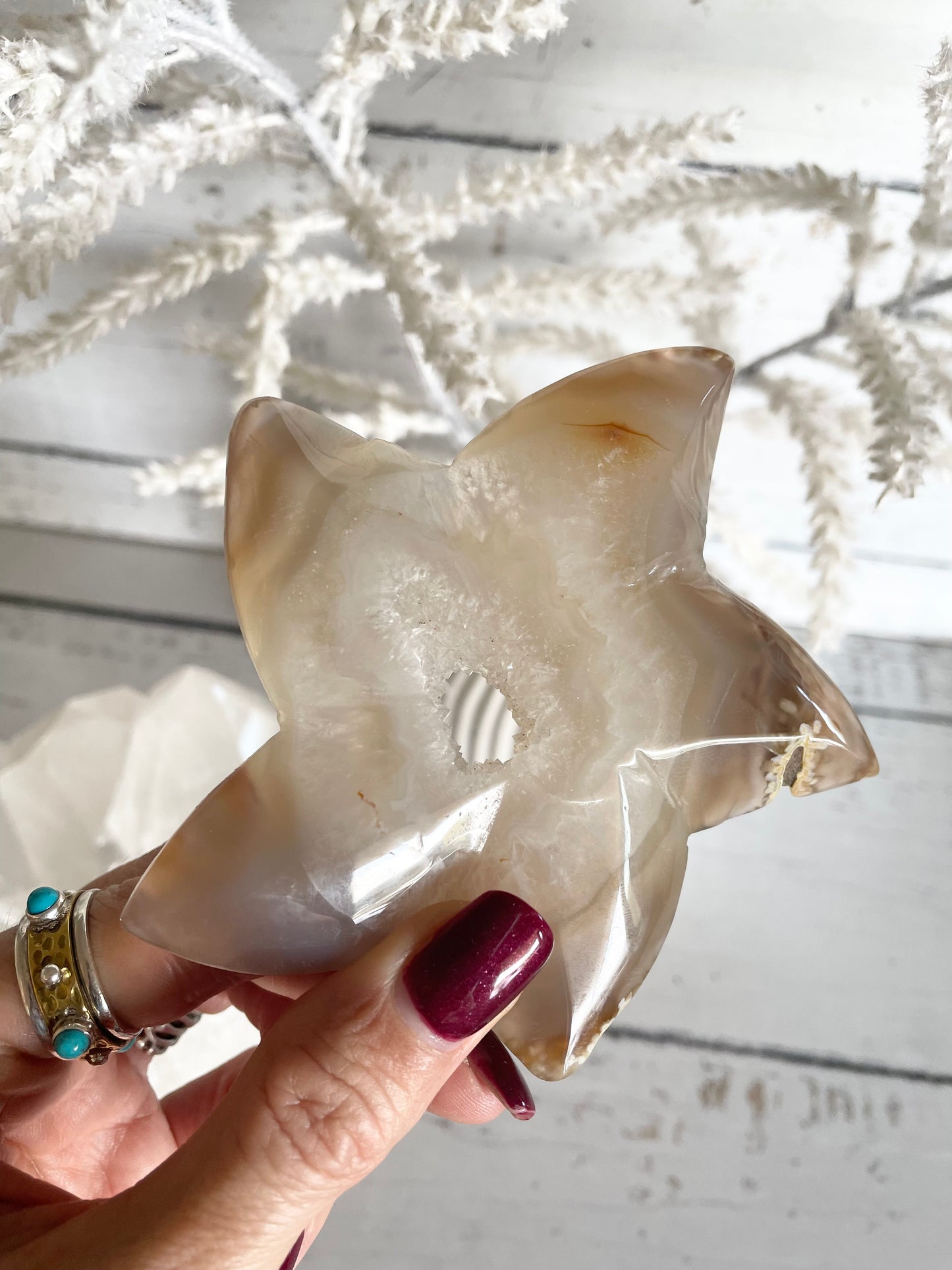 Natural Agate ~ Sea Star
