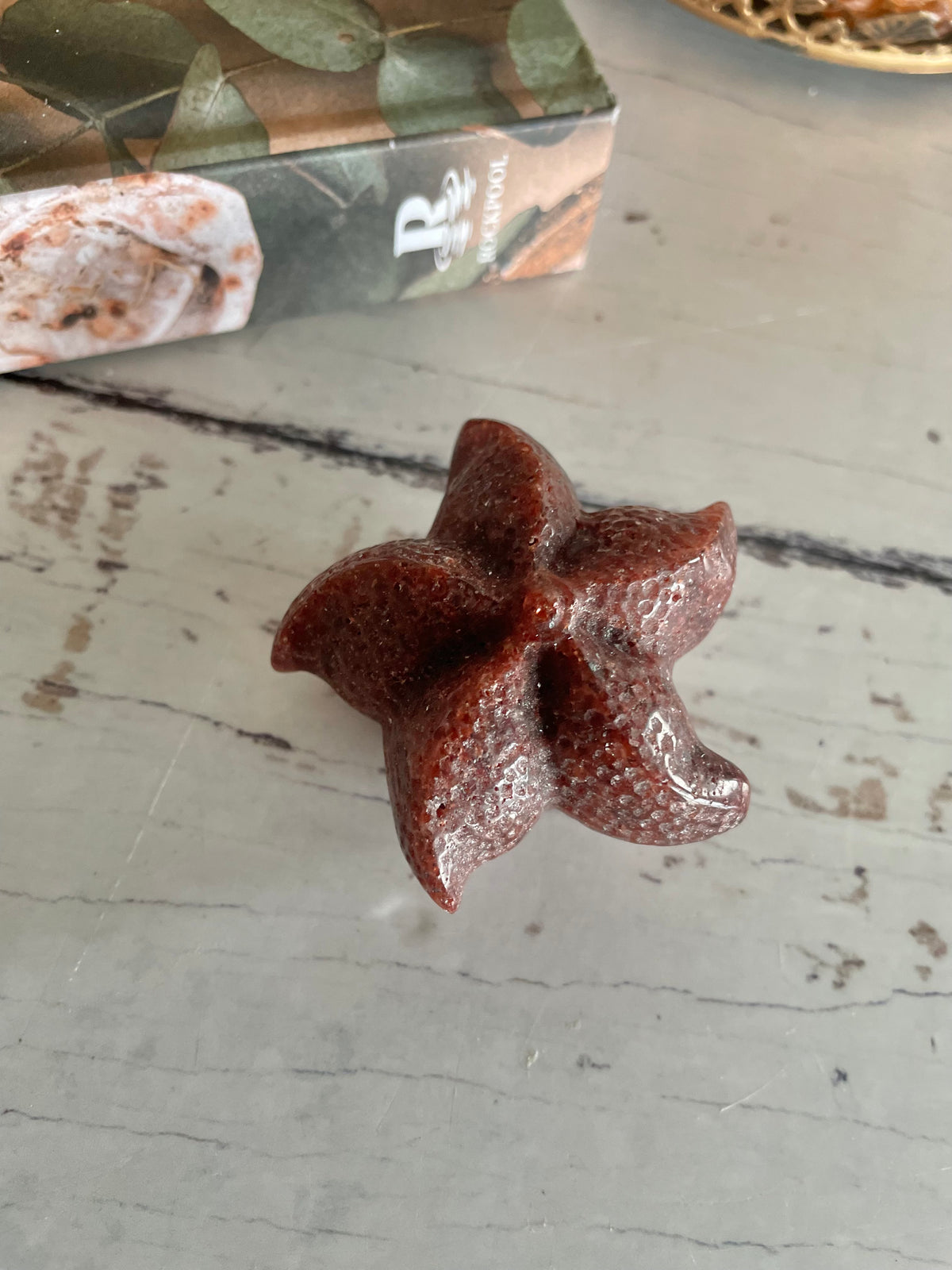 Sea Star ~ Red Jasper