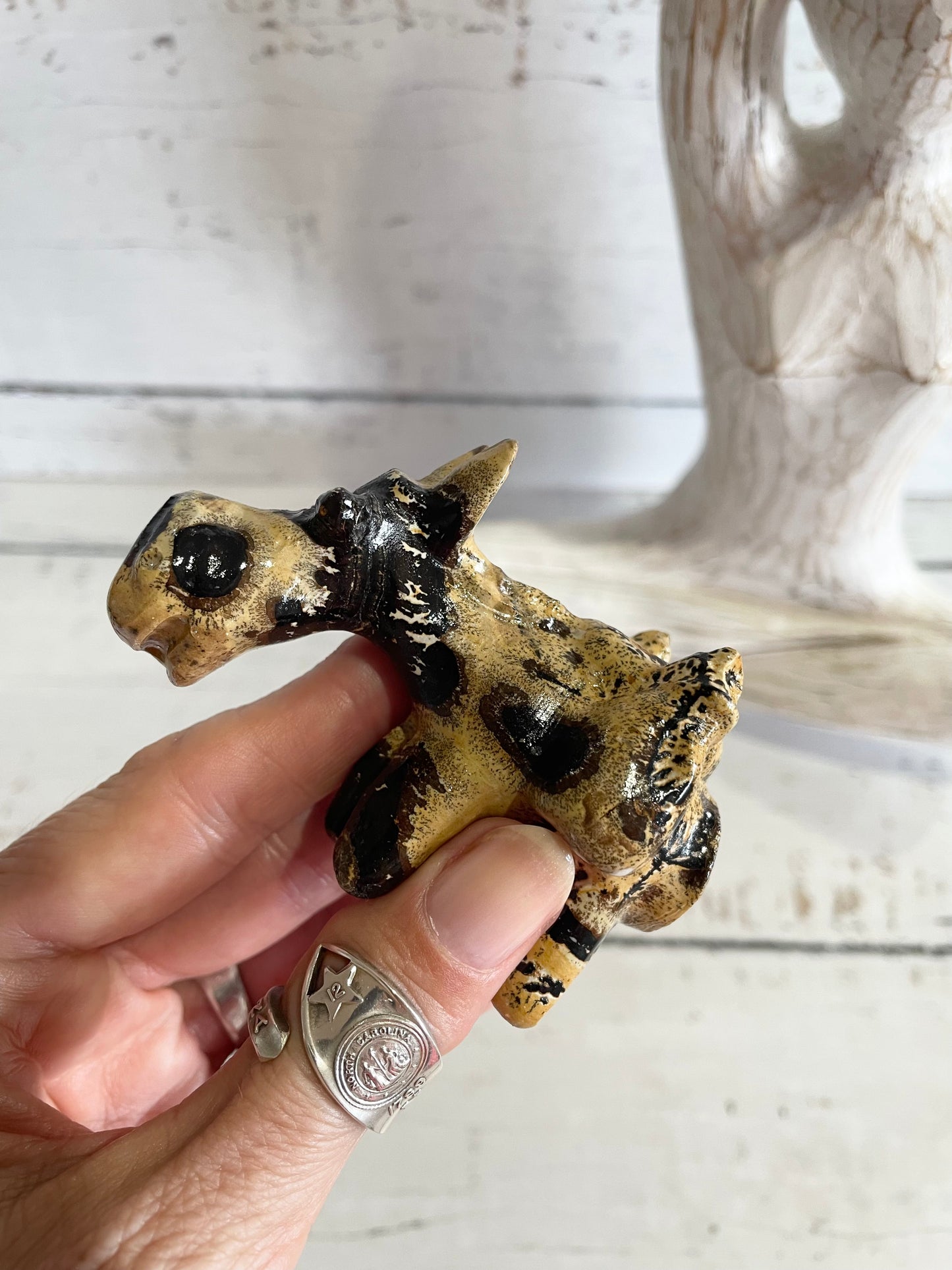 Picture Jasper Donkey ~ 15